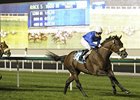 Longshot Do It All Wires Zabeel Mile Longshot Do It All Wires Zabeel Mile
