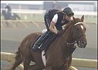 Seven Rivals Hope to Spoil Wando's Canadian Triple Crown Bid Seven Rivals Hope to Spoil Wando's Canadian Triple Crown Bid