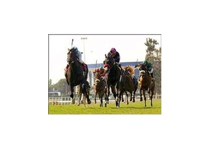 After Market (left) steams past Lava Man (center) to win the Charles Whittingham Memorial Handicap last month.<br><a target="blank" href="http://www.bloodhorse.com/horse-racing/photo-store?ref=http%3A%2F%2Fpictopia.com%2Fperl%2Fgal%3Fprovider_id%3D368%26ptp_photo_id%3D1389181%26ref%3Dstory">Order This Photo</a>