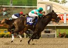 Zenyatta won the 2009 Clement Hirsch by a head over Anabaa's Creation.<br><a target="blank" href="http://www.bloodhorse.com/horse-racing/photo-store?ref=http%3A%2F%2Fpictopia.com%2Fperl%2Fgal%3Fprovider_id%3D368%26ptp_photo_id%3D8394817%26ref%3Dstory">Order This Photo</a>