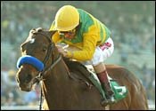 Steve Haskin's Road to the Kentucky Derby: Composure Hits the Derby Trail Steve Haskin's Road to the Kentucky Derby: Composure Hits the Derby Trail