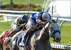 Louisiana Derby winner Wimbledon worked at Santa Anita on Monday.