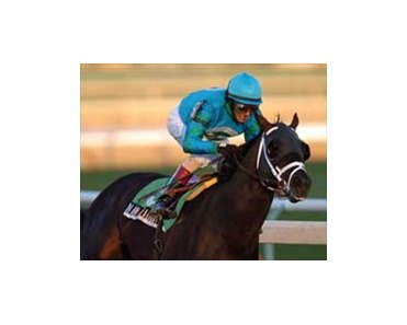 Magna Graduate captures Queens County 'Cap.<br><a target="blank" href="http://www.bloodhorse.com/horse-racing/photo-store?ref=http%3A%2F%2Fpictopia.com%2Fperl%2Fgal%3Fprovider_id%3D368%26ptp_photo_id%3D697071%26%26ref%3Dstory">Order This Photo</a>