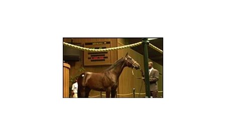 Saint Ballado colt brought top price of $4-million at Keeneland's first session.