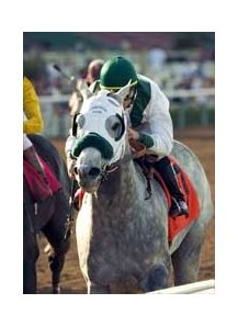 Too Much Bling notches another Derby Trail win.