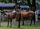 Fasig-Tipton Saratoga Sale.