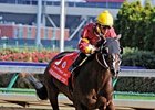 Big Drama Begins 5YO Season in Mr. Prospector Big Drama Begins 5YO Season in Mr. Prospector