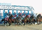 Seven Bids Submitted For Aqueduct Casino Seven Bids Submitted For Aqueduct Casino