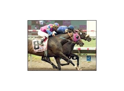 Tucked Away (right) by a nose over Hollywood Story to win Hirsch.