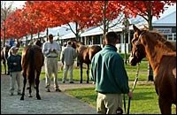 Keeneland Numbers Soar; Limelighter Brings $650,000 Keeneland Numbers Soar; Limelighter Brings $650,000