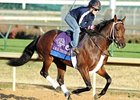 J. B.'s Thunder
<br><a target="blank" href="http://www.bloodhorse.com/horse-racing/photo-store?ref=http%3A%2F%2Fpictopia.com%2Fperl%2Fgal%3Fprovider_id%3D368%26ptp_photo_id%3D9259695%26ref%3Dstory">Order This Photo</a>