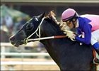 T.H. Approval, with Alex Solis aboard, wins the unset Breeders' Cup Handicap, Sunday at Hollywood Park.