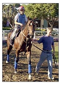 John Gosden-trained Oasis Dream.