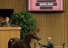 Hip 213, a colt by Giant's Causeway, was sold for $550,000 during the 2nd session of the Keeneland September Yearling Sale.