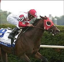 Ramseys Have Nothing to Lose on Cup Day Ramseys Have Nothing to Lose on Cup Day
