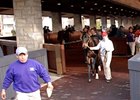 Saint Liam Colt Brings $220,000 Saint Liam Colt Brings $220,000