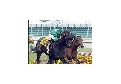 Southern Image, near, holds off Midway Road to win the Pimlico Special.