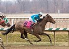Cryptoquip, Ohio champion handicap female.