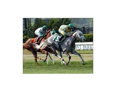 Honey Ryder, with Garrett Gomez aboard, wins the Sheepshead Bay Handicap at Belmont Park.