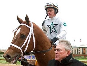 Cowtown Cat to Journeyman Stud Cowtown Cat to Journeyman Stud