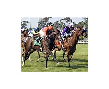 Osidy, foreground, overtakes Willow O Wisp, right, to win the Will Rogers Stakes, Saturday at Hollywood Park.