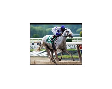 Ancient Title contender Swept Overboard makes his first start since this decisive Met Mile victory.