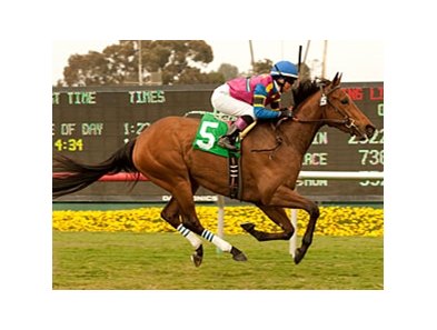 Star Billing wins the 2011 Senorita Stakes.
<br><a target="blank" href="http://www.bloodhorse.com/horse-racing/photo-store?ref=http%3A%2F%2Fpictopia.com%2Fperl%2Fgal%3Fprovider_id%3D368%26ptp_photo_id%3D9517891%26ref%3Dstory">Order This Photo</a>