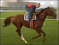 Frankel High on Kitten's Joy Frankel High on Kitten's Joy