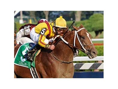 Curlin, shown winning his most recent start, the Woodward (gr. I), continues to prep for his next scheduled start in the Sept. 27 Jockey Club Gold Cup.