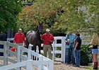 Keeneland September Yearling Sale.