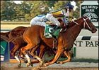 Curlin defeats Lawyer Ron in the Jockey Club Gold Cup.