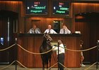 Hip 361, Miss Listo (Southern Halo - Regal Princess by Royal and Regal), in foal to Roar of the Tiger, brought the session's top-selling price of $32,000 at the Ocala Breeders' Sales Co.'s fall mixed sale.