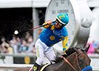 Agency Selected to Market American Pharoah Agency Selected to Market American Pharoah