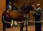 The highest-priced weanling sold at the Keeneland November Breeding Stock Sale. A Pulpit filly out of Madcap Escapade (by Hennessy) that brought $1.7 million.