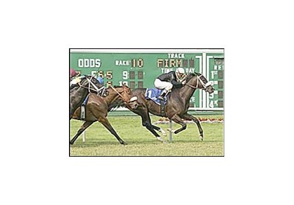 Balto Star defeats The Tin Man and Lunar Sovereign in United Nations upset win.