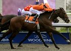 Bear Tough Guy battles to win the Grey Stakes at Woodbine.