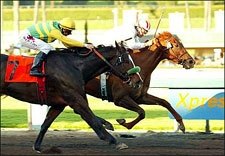 Girl Warrior Scratches Out El Encino Victory Girl Warrior Scratches Out El Encino Victory