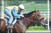 Atswhatimtalknbout in Sharp Breeze; Interest Sold to Spielberg Group Atswhatimtalknbout in Sharp Breeze; Interest Sold to Spielberg Group