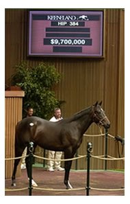 Storm Cat colt, sold for a Keeneland fall sale record price of $9.7 million.