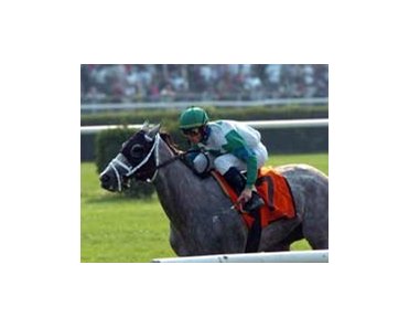 Magnificent Song proves able in Garden City win.<br><a target="blank" href="http://www.bloodhorse.com/horse-racing/photo-store?ref=http%3A%2F%2Fpictopia.com%2Fperl%2Fgal%3Fgallery_id%3D6823%26process%3Dgallery%26provider_id%3D368%26ptp_photo_id%3D545865%26sequencenum%3D%26page%3D">Order This Photo</a>
