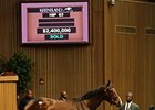 Buster's Ready Brings $2.4 Million Buster's Ready Brings $2.4 Million