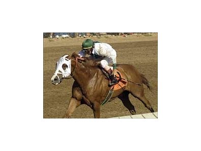 Clock Stopper wins the Commonwealth.