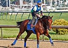 American Pharoah