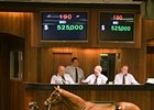 Filly; More Than Ready - Meadow Silk by Meadowlake, brought $525,000 during the first hour of the second session of the Ocala Breeders' Sales Co. March sale of 2-year-olds in training.