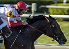 Frankel Flashes 'Badge' for Rich FG Double Frankel Flashes 'Badge' for Rich FG Double