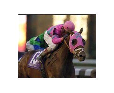 Saint Liam earns himself a Classic win.