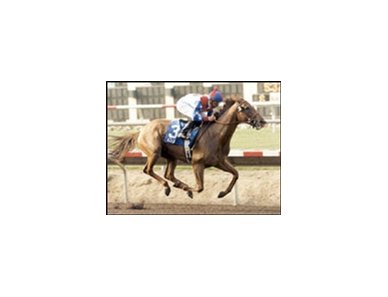 Azeri is the only unanimous Eclipse Award winner for 2002.