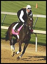 Lido Palace Heads Small Woodward Field; Three Grade I Races Saturday at Belmont Lido Palace Heads Small Woodward Field; Three Grade I Races Saturday at Belmont