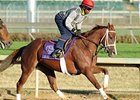 Delightful Mary works at Churchill Downs.<br><a target="blank" href="http://www.bloodhorse.com/horse-racing/photo-store?ref=http%3A%2F%2Fpictopia.com%2Fperl%2Fgal%3Fprovider_id%3D368%26ptp_photo_id%3D9259691%26ref%3Dstory">Order This Photo</a>