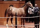 Surge Continues at Fasig-Tipton October Sale Surge Continues at Fasig-Tipton October Sale